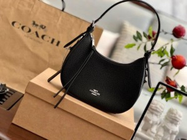 CH kleo hobo bag in signature canvas bag with box
