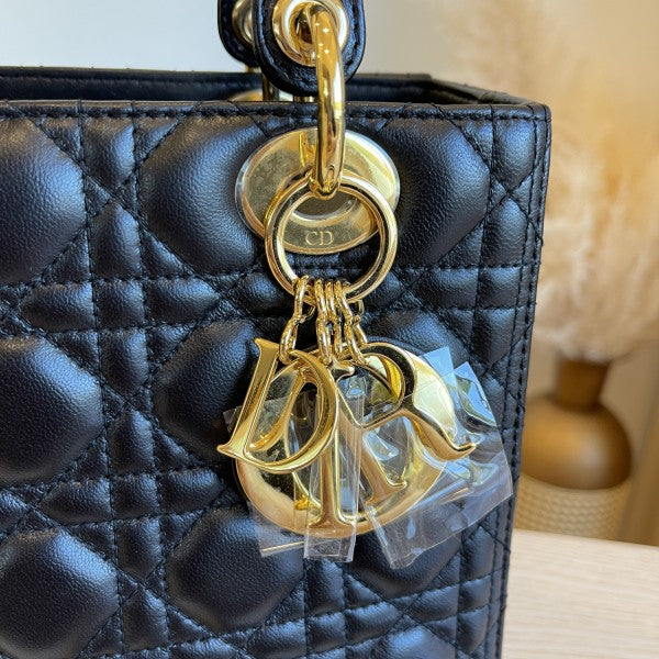 Dio LADY BAG WITH BRAND BOX