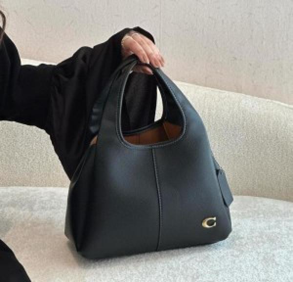 CH lana hobo sling bag premium quality with box