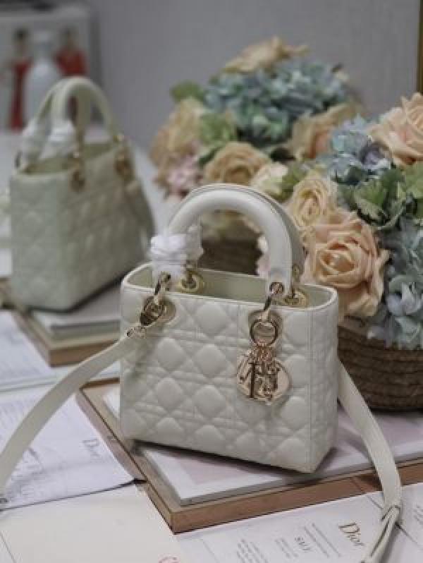 Dio LADY BAG WITH BRAND BOX