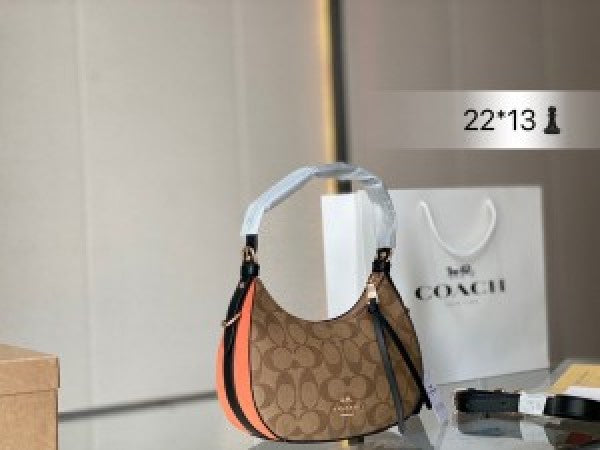 CH kleo hobo bag in signature canvas bag with box