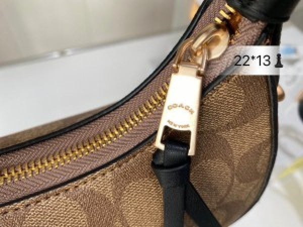 CH kleo hobo bag in signature canvas bag with box