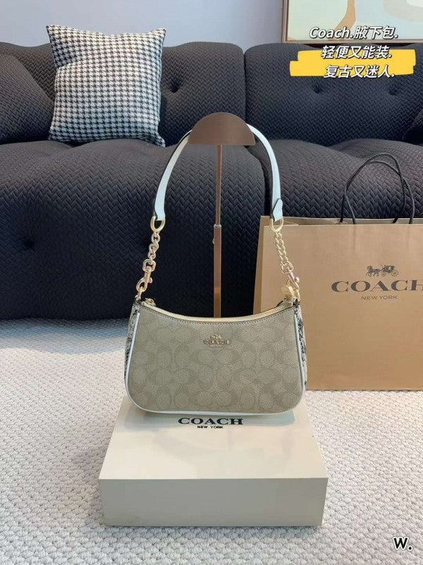 CH teri shoulder bag in signature canvas bag with box