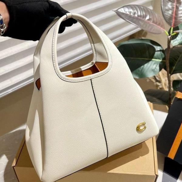 CH lana hobo sling bag premium quality with box