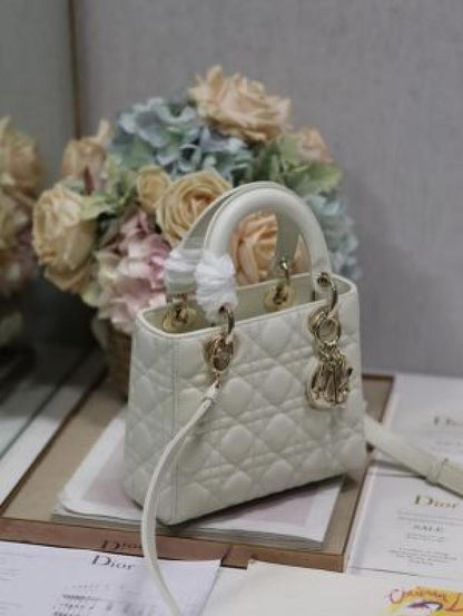 Dio LADY BAG WITH BRAND BOX
