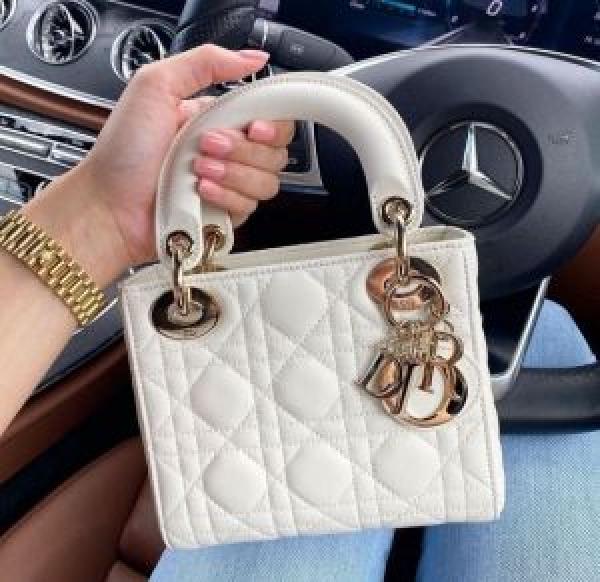 Dio LADY BAG WITH BRAND BOX