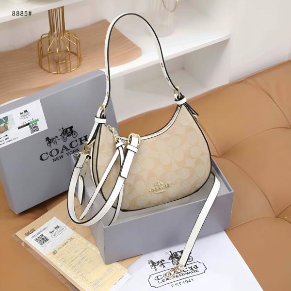 CH kleo hobo bag in signature canvas bag with box