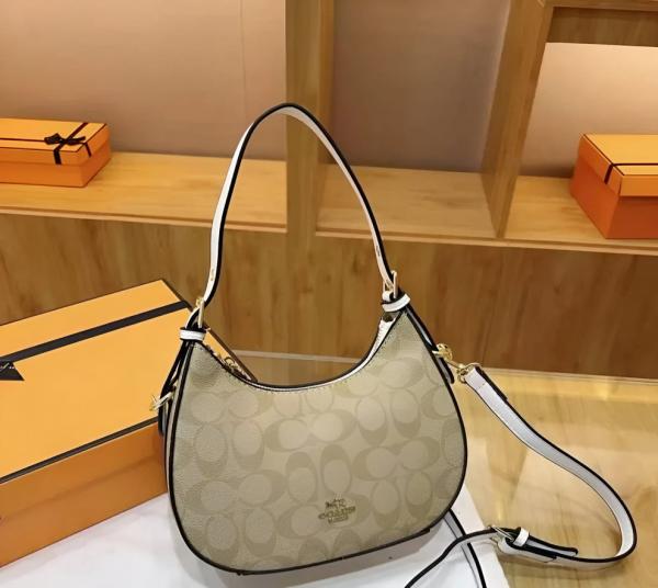 CH kleo hobo bag in signature canvas bag with box