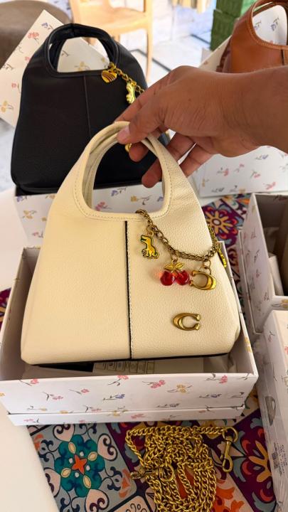 CH lana hobo sling bag with charm and premium quality with box