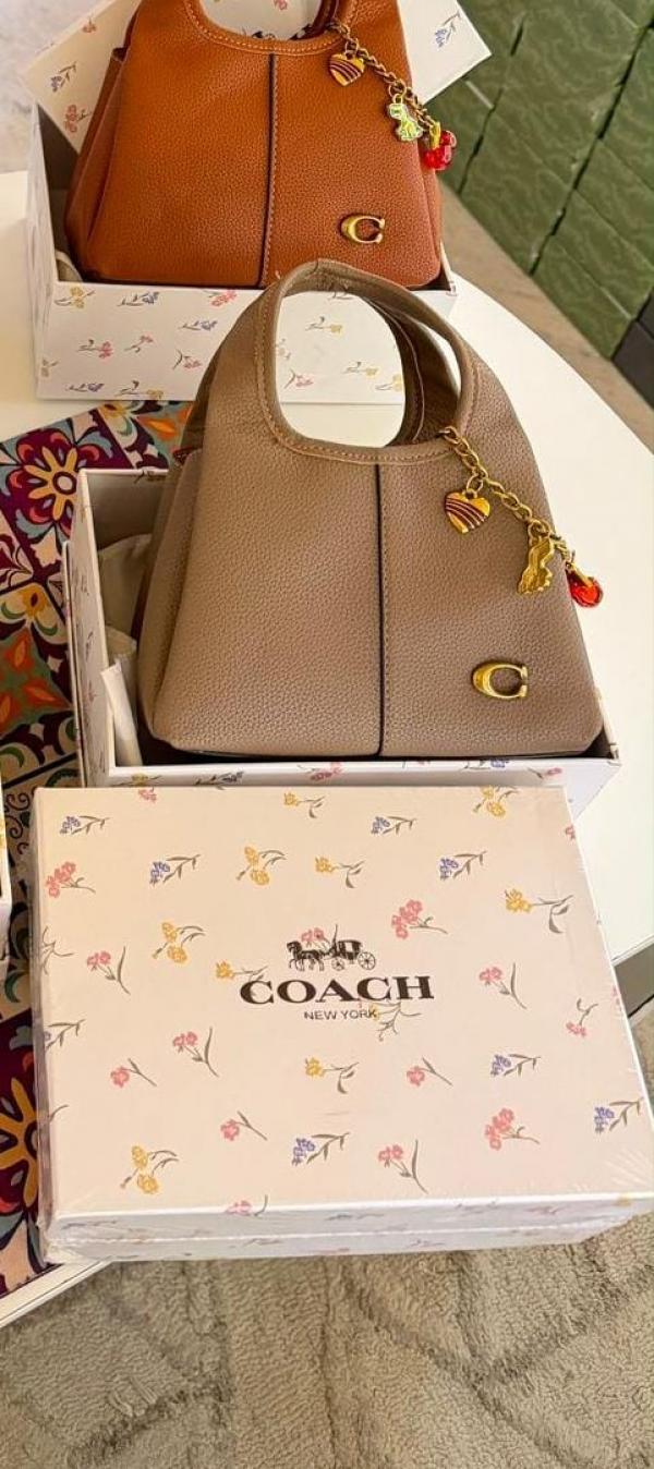 CH lana hobo sling bag with charm and premium quality with box