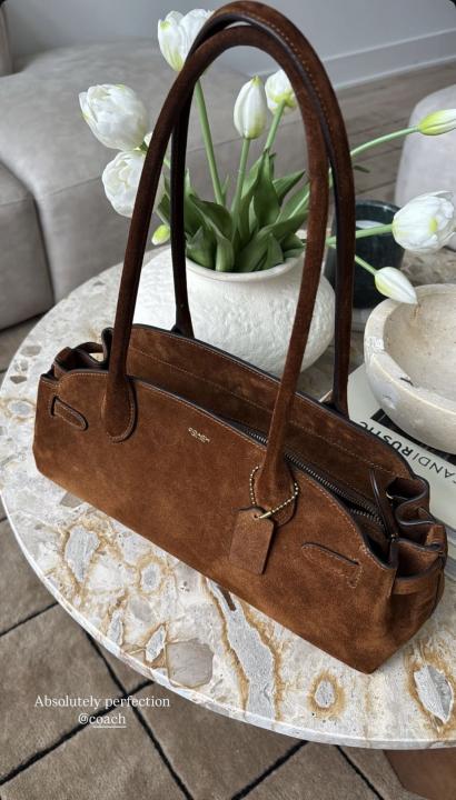 CH Empire CarryAll Shoulder Bag With DustCover