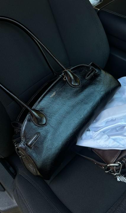CH Empire CarryAll Shoulder Bag With DustCover
