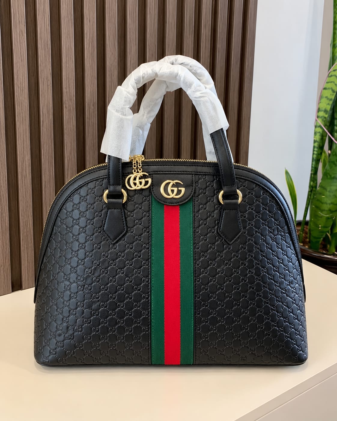 GCI ophidia Alma with box premium quality