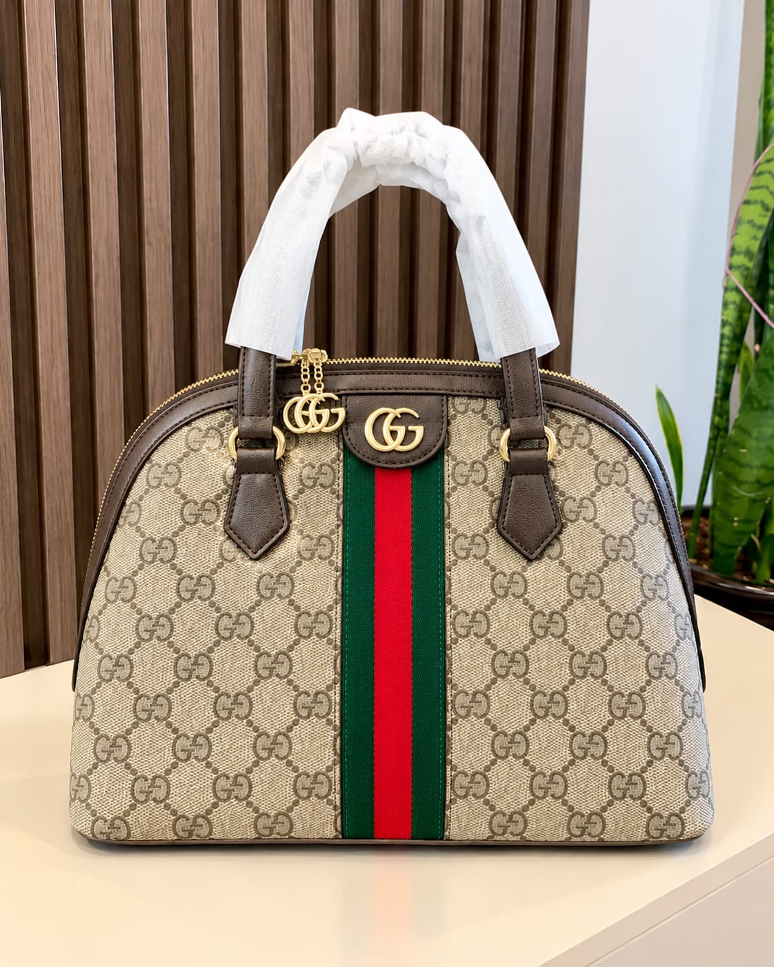 GCI ophidia Alma with box premium quality