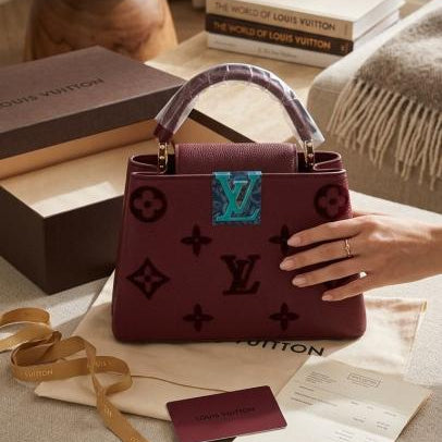 LV Capucines handbag with box premium quality